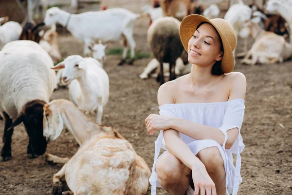 아름다운 여자와 드레스를 농장의 염소들 사이에 베이지 모자를 — 스톡 사진