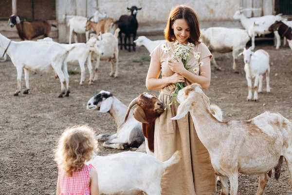 농장에서 꽃다발을 염소들 사이에 어머니 — 스톡 사진