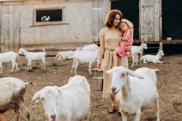 어머니와 염소들이 친환경 농장에서 시간을 보낸다 — 스톡 사진