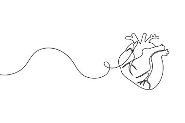 İnsan kalbi bir satır sanat sade anatomik anahat tıbbi sembol