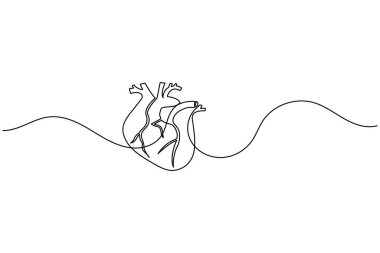 İnsan kalbi bir satır sanat sade anatomik anahat tıbbi sembol