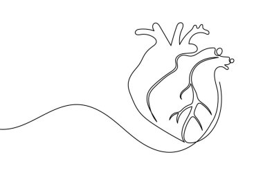 İnsan kalbi bir satır sanat sade anatomik anahat tıbbi sembol