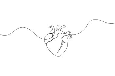 İnsan kalbi bir satır sanat sade anatomik anahat tıbbi sembol