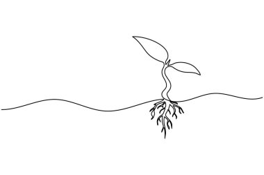 Bitki büyümesi aralıksız bir çizgi sanat minimalist ana hat vektör ikonu tohumlama