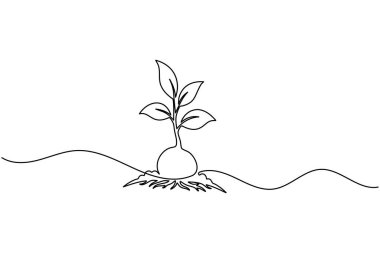 Bitki büyümesi aralıksız bir çizgi sanat minimalist ana hat vektör ikonu tohumlama