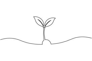 Bitki büyümesi aralıksız bir çizgi sanat minimalist ana hat vektör ikonu tohumlama