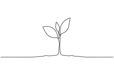 Bitki büyümesi aralıksız bir çizgi sanat minimalist ana hat vektör ikonu tohumlama