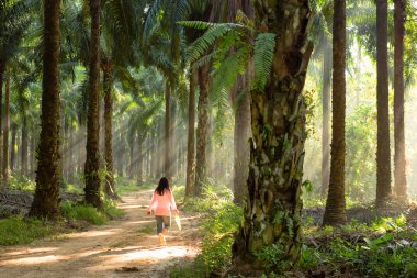 palmiye ağacı kadınla 