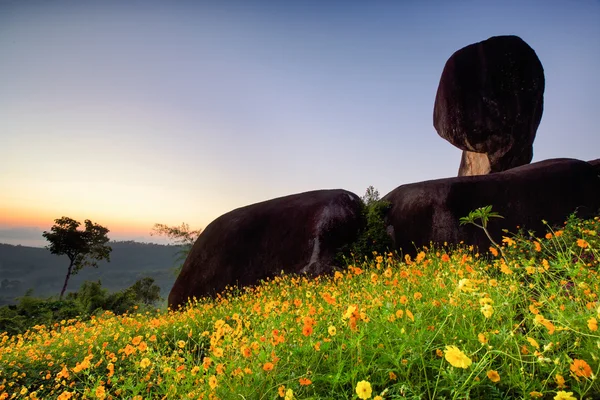 หินยืนหรือหินแพด สุราษฎร์ธานี ประเทศไทย — ภาพถ่ายสต็อก