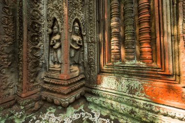 Ta Prohm Tapınağı kalıntıları