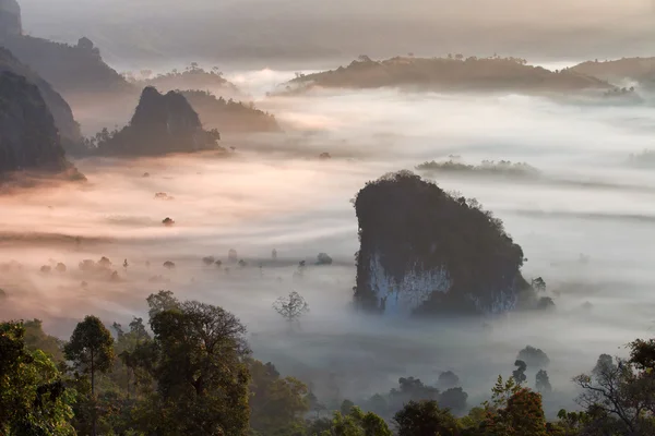Phulangka montanha com névoa e nascer do sol na província de Payao, tailandês — Fotografia de Stock