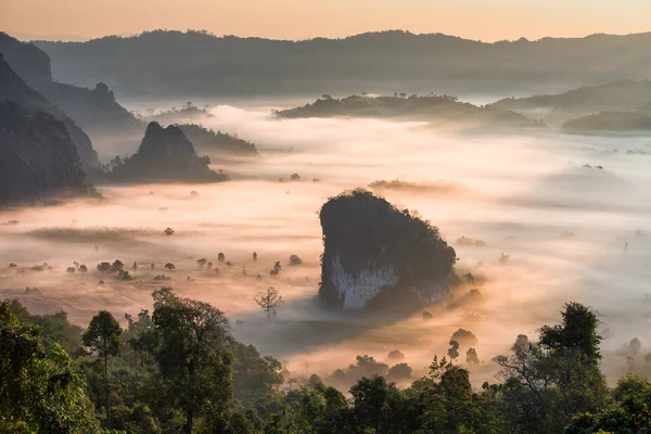 Montagne phulangka avec brume et lever du soleil dans la province de Payao, thai — Photo
