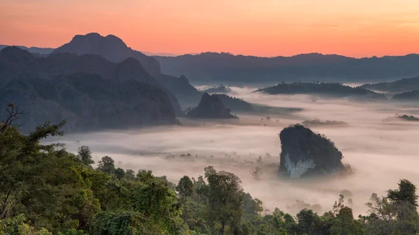 Montagne phulangka avec brume et lever du soleil dans la province de Payao, thai — Photo