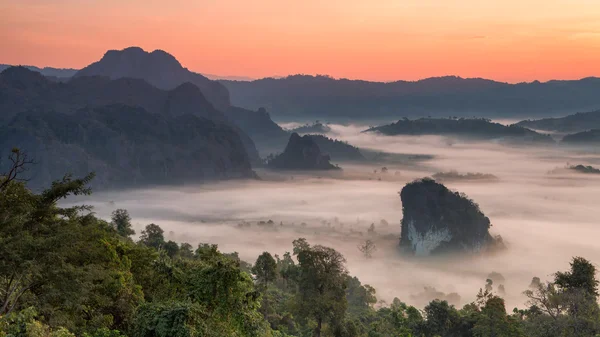 Phulangka montanha com névoa e nascer do sol na província de Payao, tailandês — Fotografia de Stock