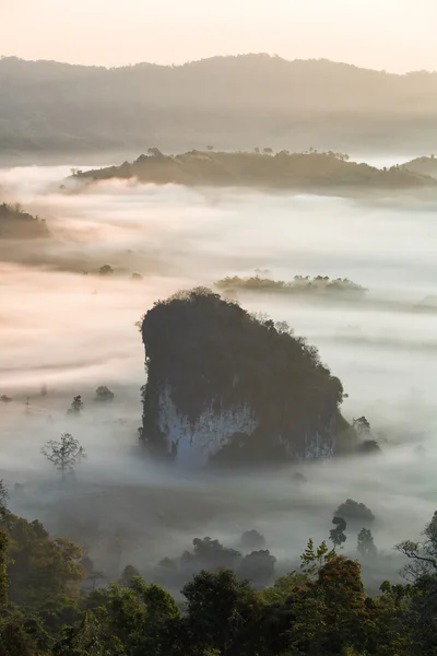 Phulangka montanha com névoa e nascer do sol na província de Payao, tailandês — Fotografia de Stock