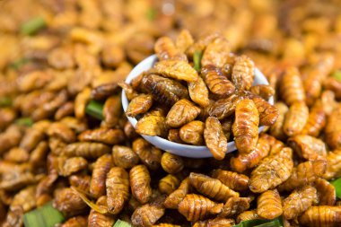 Kızarmış silkworms karıştırın
