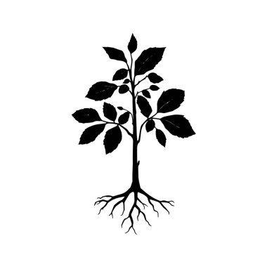 Beyaz arkaplanda izole edilmiş kökleri olan bir ağacın biçimlendirilmiş illüstrasyonu