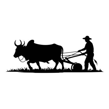 Beyaz arka planda izole edilmiş öküzlü bir çiftçi tarlası silueti antik tarım tekniği ve hayvan gücü sergiliyor.