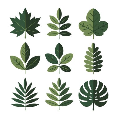 Dokuz farklı yeşil yaprak illüstrasyonunun koleksiyonu, her biri beyaz bir arkaplanda izole edilmiş, çeşitli şekiller ve dokular sergiliyor.