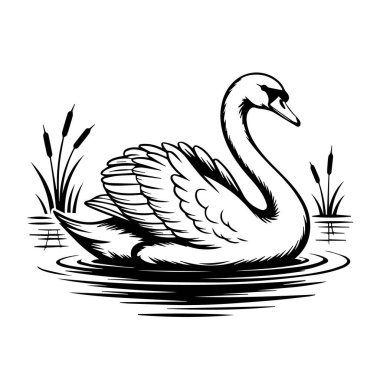Sazlıklarla sakin sularda zarif bir şekilde yüzen zarif kuğu, siyah ve beyaz çizimler.