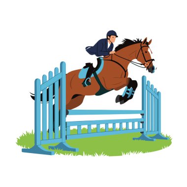 Beyaz arka planda izole edilmiş bir atlama yarışması sırasında mavi çitten atlayan bir binici.