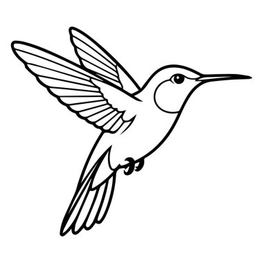 Sinek kuşu uçuyor, hassas kanatları açık, beyaz arka planda izole.