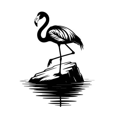 Sudaki bir kayanın üzerinde duran siyah bir flamingo silueti, beyaz arka plan teknolojisinde izole edilmiş.