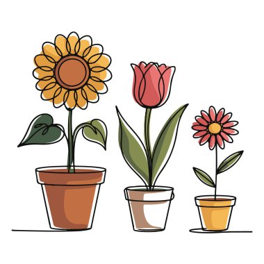 Bir satırda üç saksı çiçek, ayçiçeği, lale, papatya