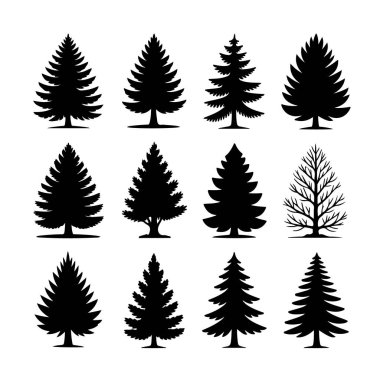 12 siyah çam ağacı silueti koleksiyonu