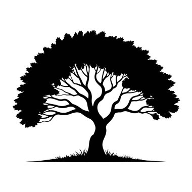 Beyaz arka planda izole edilmiş bir ağacın silueti, doğanın ve büyümenin bir sembolü.