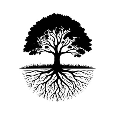 Kökleri doğa konsepti ve yaşam döngüsü temsili için beyaz arkaplan üzerine izole edilmiş bir ağacın silueti