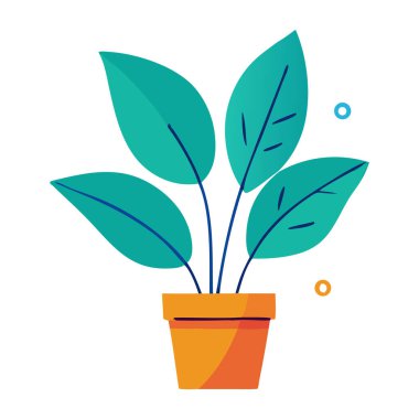 Büyümeyi ve doğayı sembolize eden, ev ya da ofis dekorasyonu için mükemmel yeşil yapraklı canlı bir saksı bitkisi.