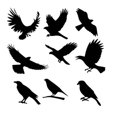 Uçan kuşların silueti ve tasarım elementleri ve çizimler için beyaz zemin üzerine tünemiş.