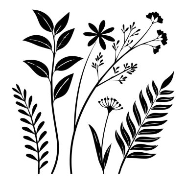Beyaz arkaplanda izole edilmiş botanik vektör çizimi, doğa ve çiçek temalı tasarımlar için mükemmel.