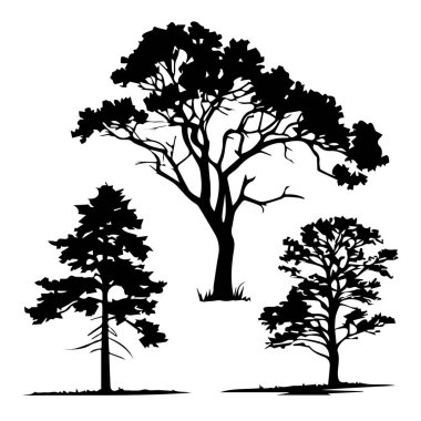 Beyaz arka planda izole edilmiş üç ağaç silueti, doğayı, ormancılığı ve açık hava manzaralarını temsil ediyor.