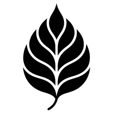 Damarlı siyah yaprak silueti