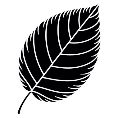 Beyaz zemin üzerinde belirgin damarları olan siyah bir yaprak silueti çarpıcı bir kontrast yaratır, tasarım için ideal.