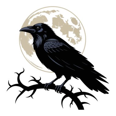 Kara kuşun, gotik çizimler ve mistik hayvan tasarımı için dolunay altında dallara tünediği ay ışığında kuzgun üstüne dallar. Kuş tasarımı