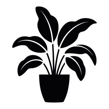 Siyah siluet saksı bitkisi. Büyük yapraklar, iç dekorasyon elementi. Yeşillik, şeffaf arka planda doğal güzellik..