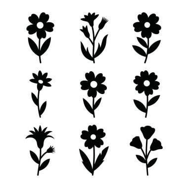 Çeşitli çiçek motifleri bitki çizimleri. Doğa ilham verici tasarımlar.