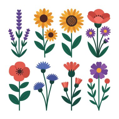 Düz dizayn çiçek koleksiyonu. Çiçek elementleri vektör illüstrasyon bitkileri.
