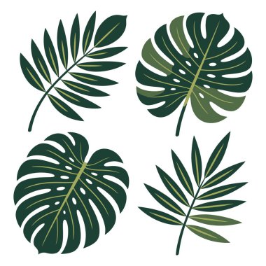 Tropikal yaprakların toplanması vektör illüstrasyonu izole edildi.