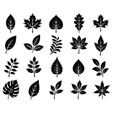 Yaprak siluet koleksiyonu botanik yaprak simgeleri ayarlandı