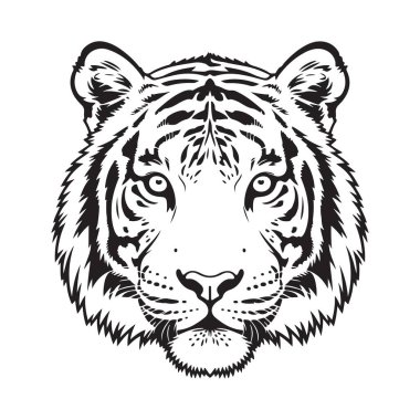 Kaplan başlı illüstrasyon güçlü vahşi kedi yüzü hayvan görkemli çizgiler ayrıntılı vektör grafik simgesi