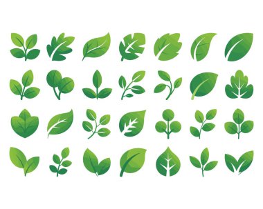 Çeşitli yeşil yapraklar, yaprak şekilleri, stilize yapraklar, organik elementler, doğa simgeleri, bitki grafikleri