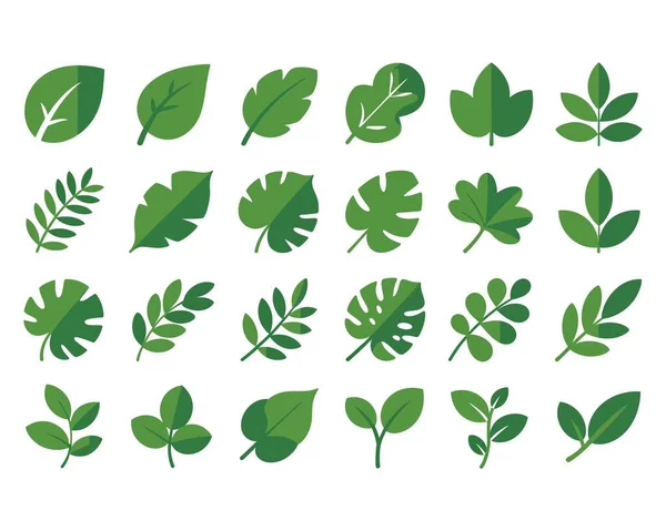 Çeşitli orman palmiyeleri ve dalları doğal ekolojik ikonları botanik seti olarak bırakır