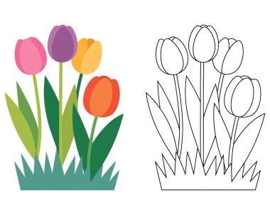 Yeşil çimenlerde büyüyen canlı laleler bahar renklendirme etkinliği için ana hatların yanında