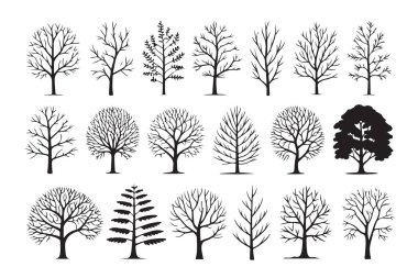 Çıplak ağaçlar siluet koleksiyonu. Kış mevsimi yaprak döken ağaçlar izole vektör elementleri. Yapraksız orman. Boş ağaç dalları.