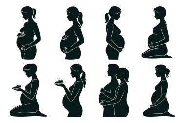 Hamile kadın siluetleri. Beklenen anneliğin çeşitli aşamalarını ve duygularını gösteriyor. Poz vermek, ayakta durmak, diz çökmek, bebek ayakkabısı tutmak, bebek şişkinliğini göstermek....