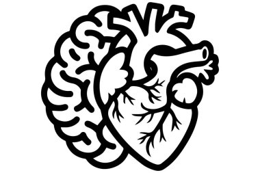 Drawing showing brain and heart together representing intellect emotion psychology physiology connection medical anatomy study and internal workings.